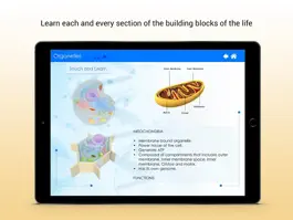 Game screenshot The Living Cell apk