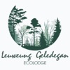 Leuweung Geledegan Ecolodge