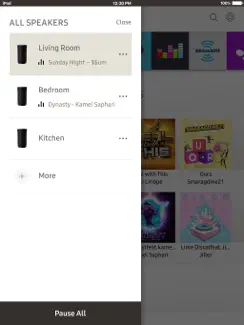 Wireless Audio Multiroom : Pad iPad image 4