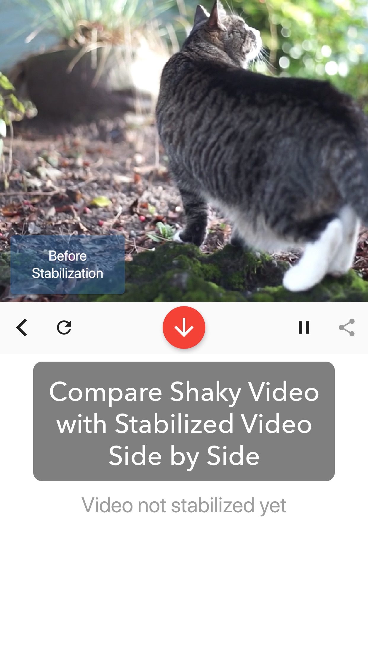 Screenshot do app Deshake Video - Stabilization