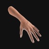 Hand Draw 3D Pose Tool - iPhoneアプリ