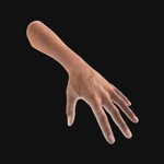 Download Hand Draw 3D Pose Tool app