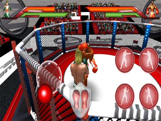Виртуальный бокс 3D на iPad