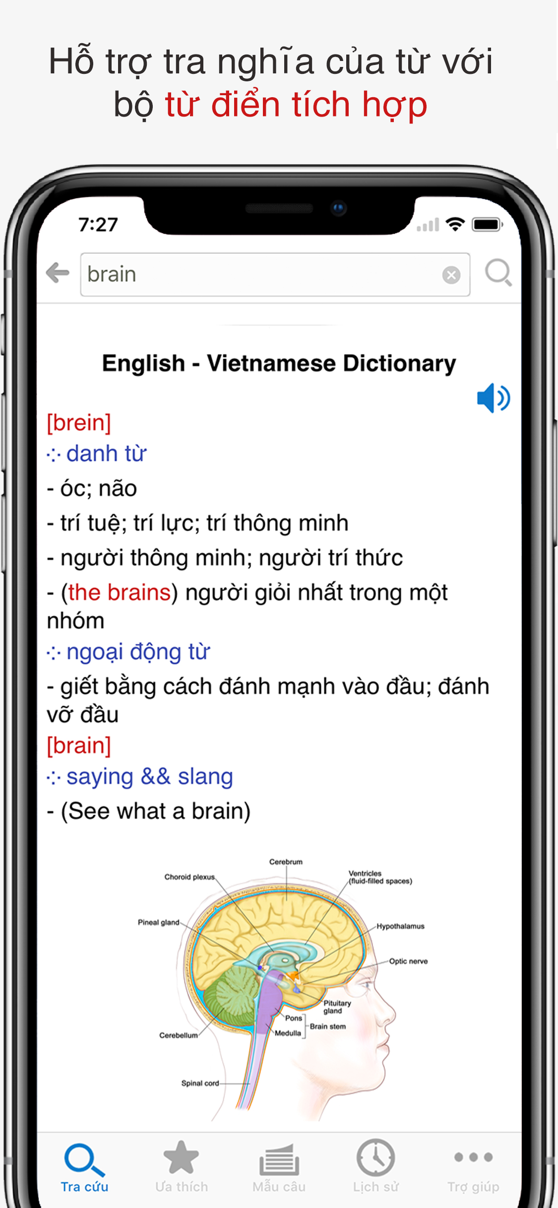 Tra câu Việt - Anh
