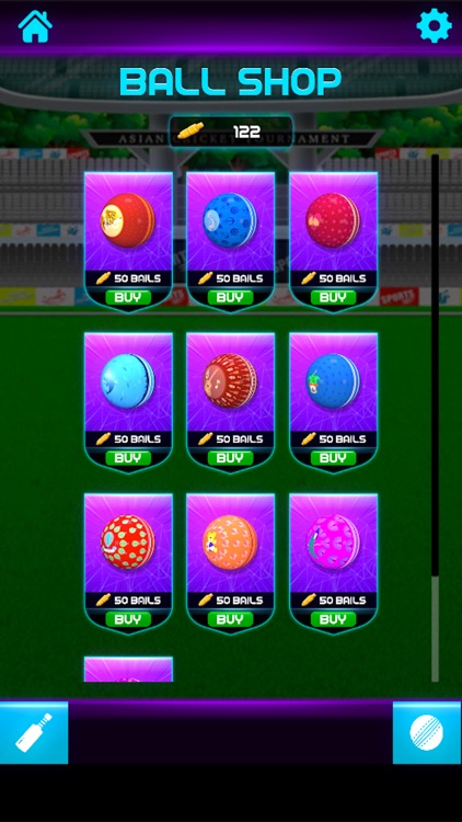 Knock Knock Cricket 2019 screenshot-8