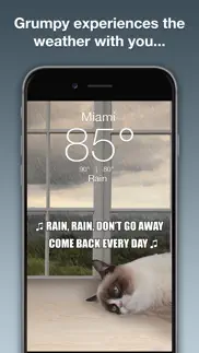 grumpy cat's funny weather iphone screenshot 2