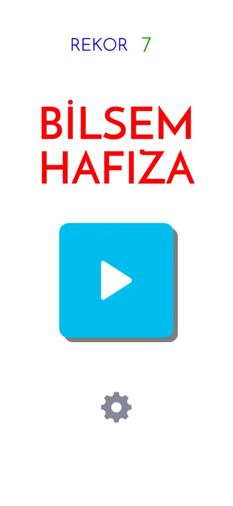 Bilsem Sınavı Hafıza