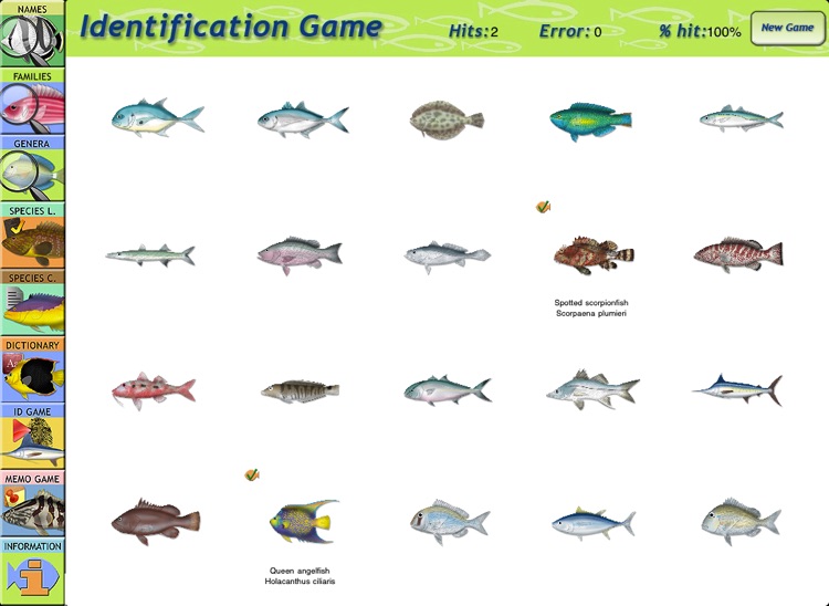 Marine Fishes Id Guide screenshot-4