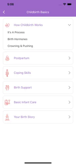 Game screenshot Childbirth Basics apk