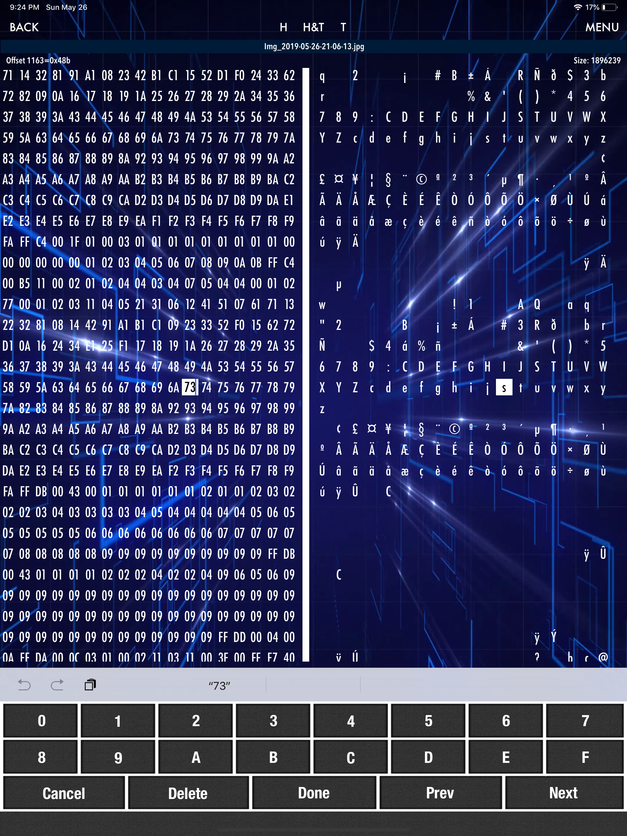 HEX Editor