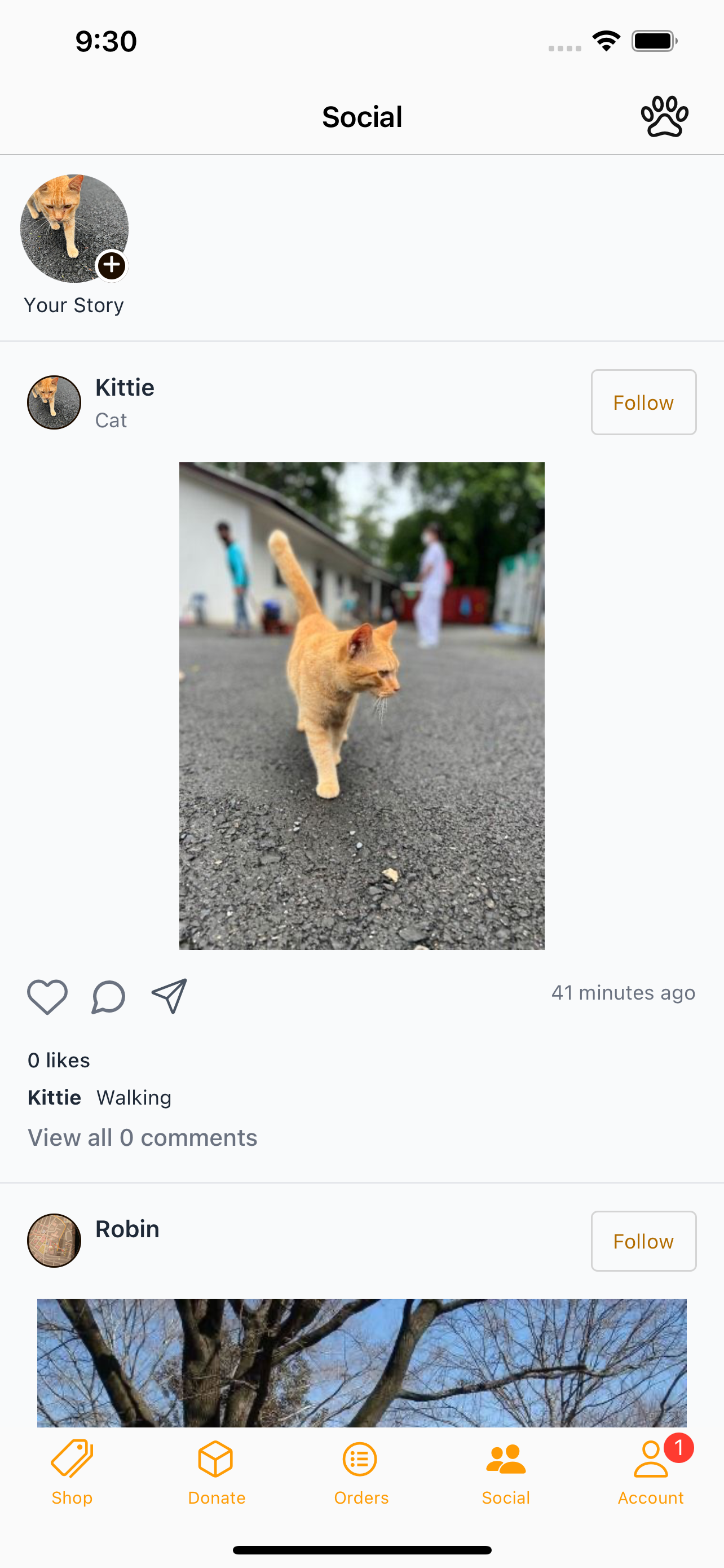 Pet Square