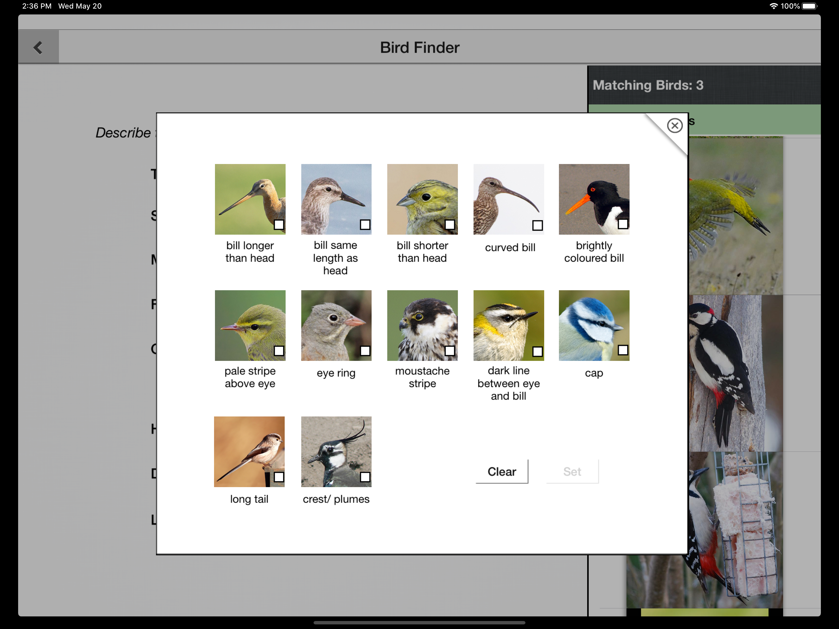 Birds of Britain Pocket Guide