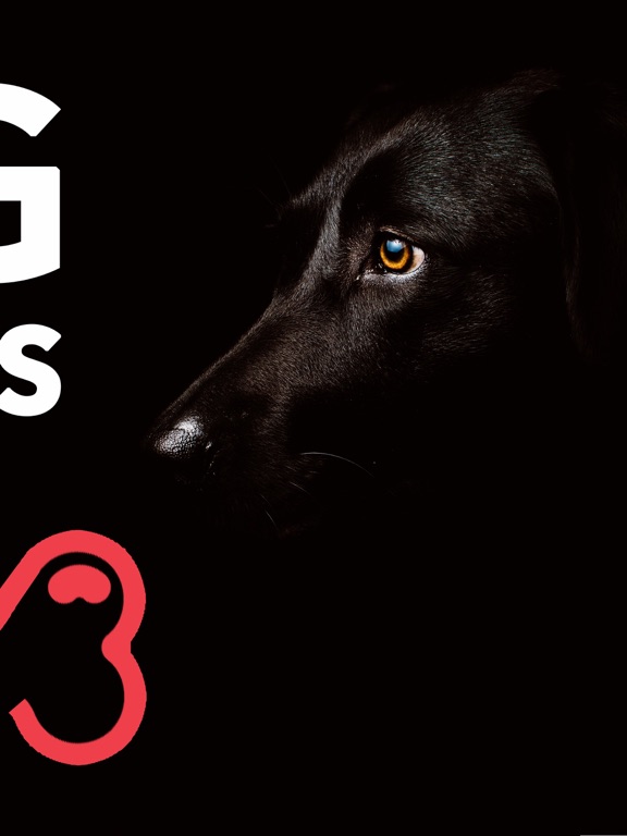 Screenshot #5 pour Dogs Diabetes Health Care App