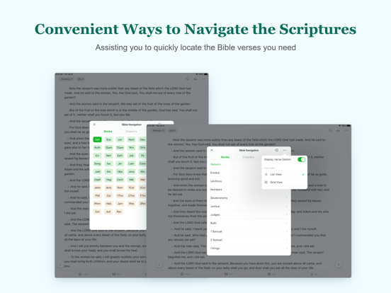 Bible Reading Made Easy iPad screenshot 3 - Reference app