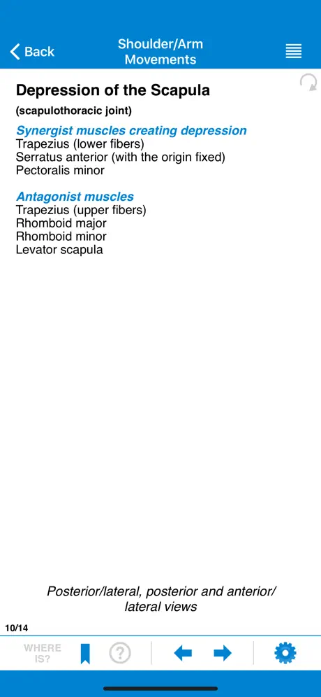 AMTA Massage Anatomy Guide