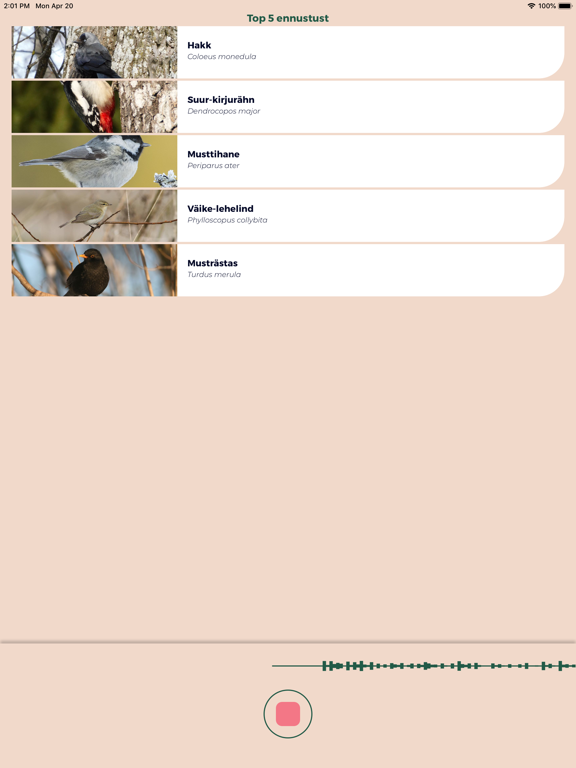 Screenshot #4 pour Siuts