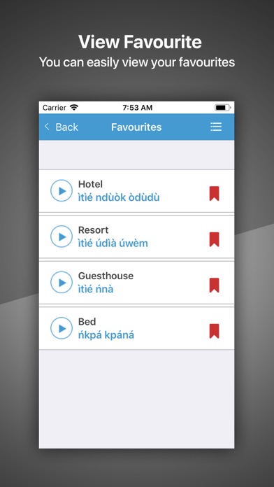 Speak Efik and Ibibio iPhone screenshot 5 - Productivity app