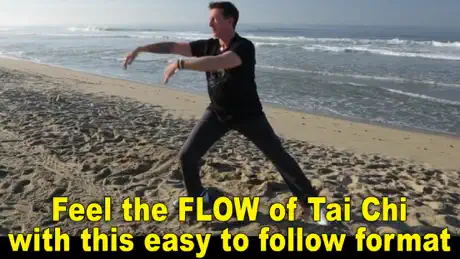 Tai Chi Fit FLOW