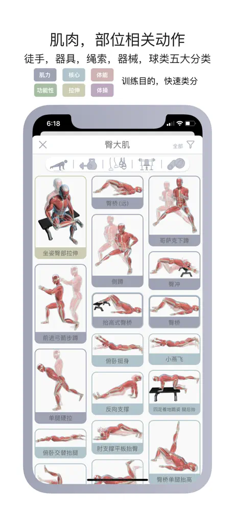 运动解剖