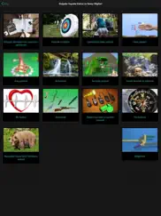 hayatta kalma uygulaması ipad resimleri 2