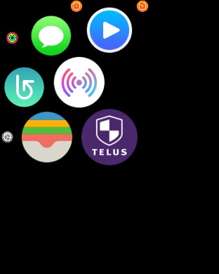 Apple Watch screenshot