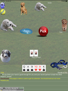 K9 Sheepshead: Schafkopf screenshot 8