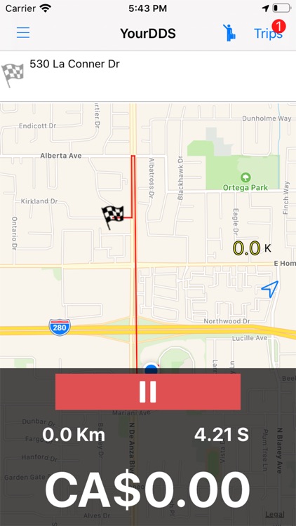 Your Designated Driver Service