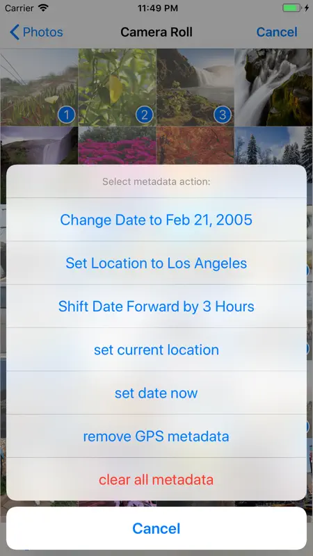 Metadata Pro on iPhone — screenshot 6 of 7