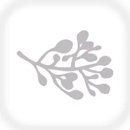 Mäcorina repostería app icon
