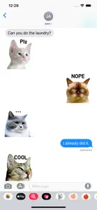 Real Funny Cats screenshot #2 for iPhone