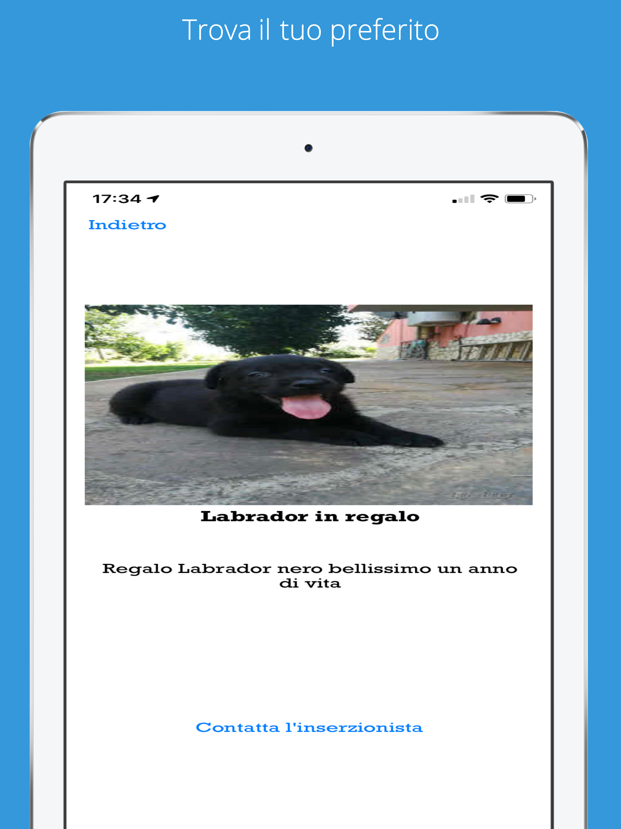 Cerca Cani