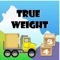 The game is about a truck which must have the appropriate weight to cross the customs border