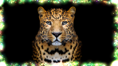 Dotsee iPhone screenshot 6 - Lifestyle app