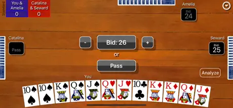 Pinochle Classic