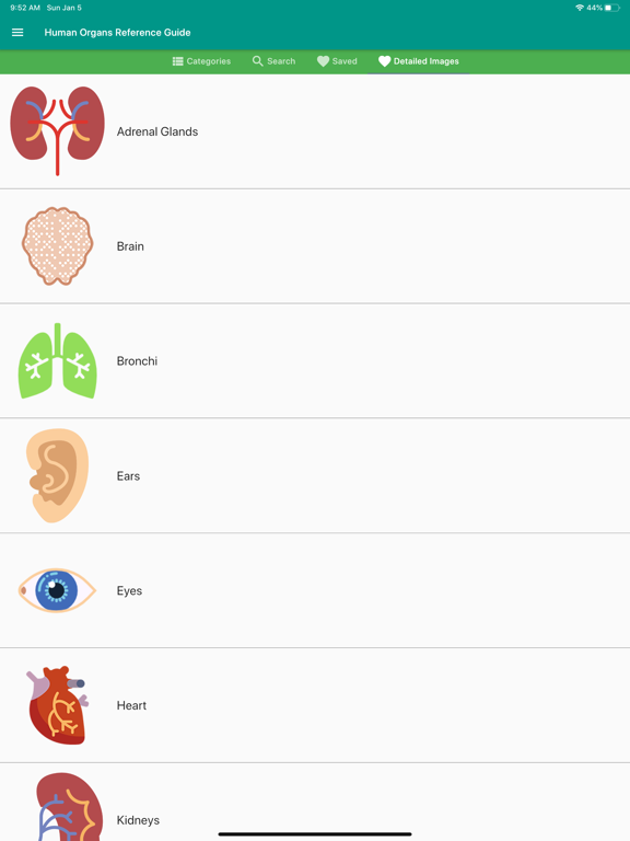 Screenshot #5 pour Human Organs Anatomy Reference