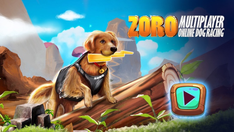 Zoro Pet Dog Race
