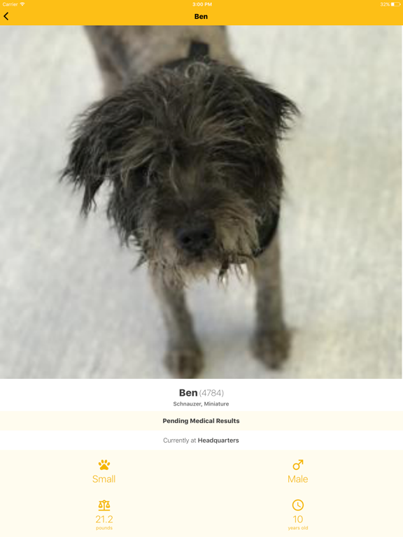 Muttville iPad screenshot 2 - Productivity app