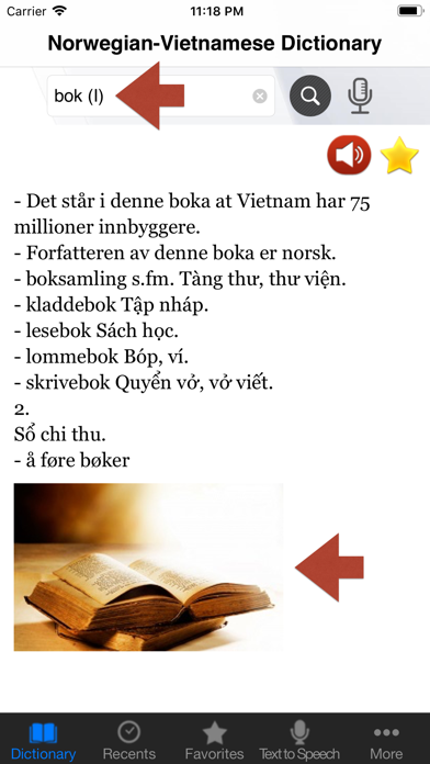 Norwegian-Vietnamese Dict. Pro screenshot 5