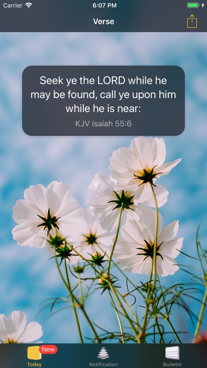 BreadVerse: Daily Bible Verse screenshot-0