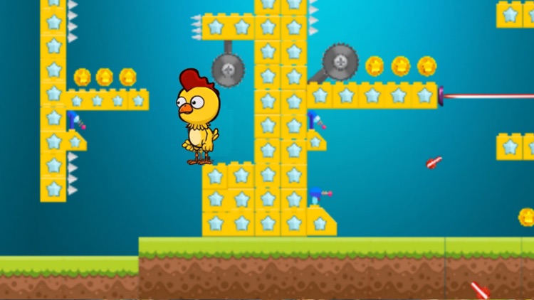 little chicken run