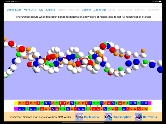 OnScreen DNA Modelのおすすめ画像4