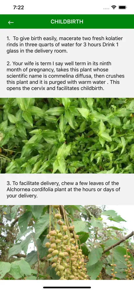 Medicinal plants of the world