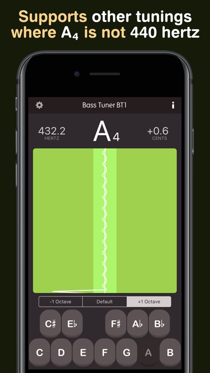 Bass Tuner BT1 Pro screenshot-5