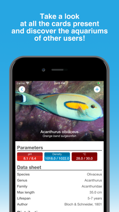 Aquarium Vitae screenshot 3