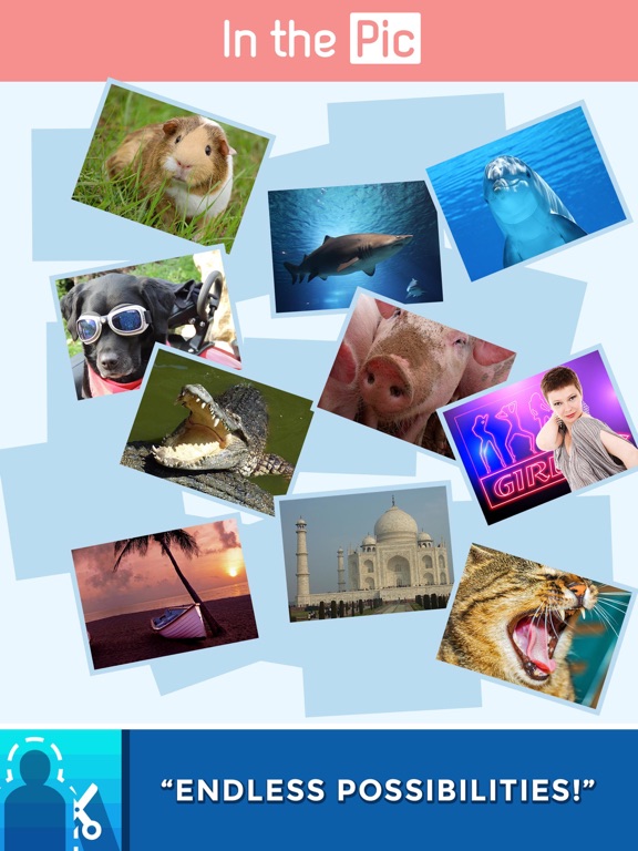 In The Pic Photo Crop & Chop iPad screenshot 5 - Entertainment app