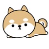 Chibi Shiba Chan Moving Bubble