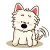 West Highland White Terrier app icon - Stickers app for iPhone
