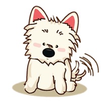 West Highland White Terrier app icon - Stickers app for iPhone