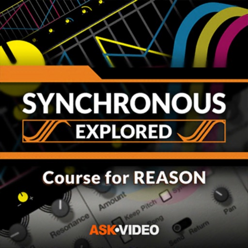 Synchronous Course for Reason icon