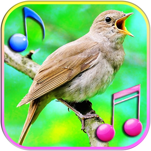 All Animals Sound Effects App by Deniela briunstan
